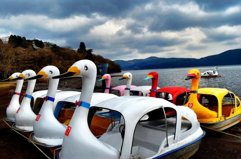 Swan boats Japan